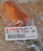 FRONT FLASHER LIGHT ASSY 1