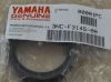 OIL SEAL
