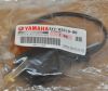 FRONT FLASHER LIGHT ASSY 1