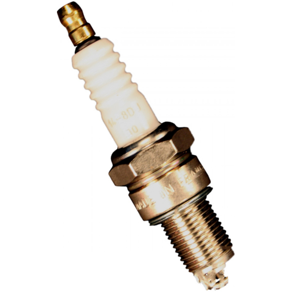 Spark plug beru