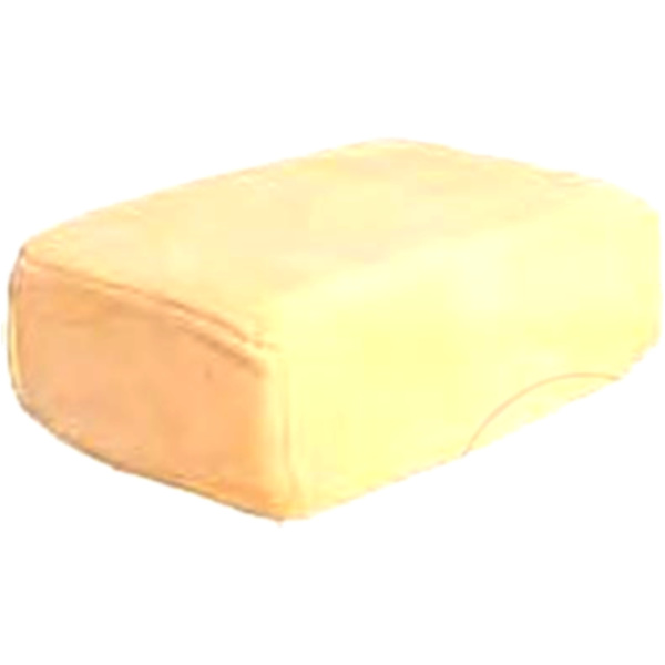 Lederschwamm