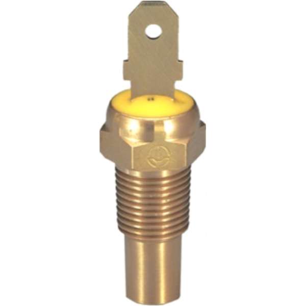 Kühlmitteltemperatursensor ID