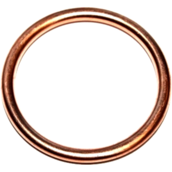 Seal ring 813184