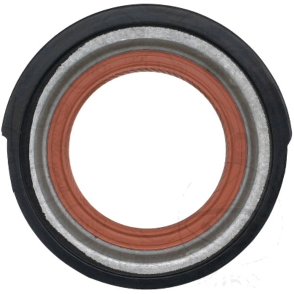 Simmerring Wellendichtring ID 309028