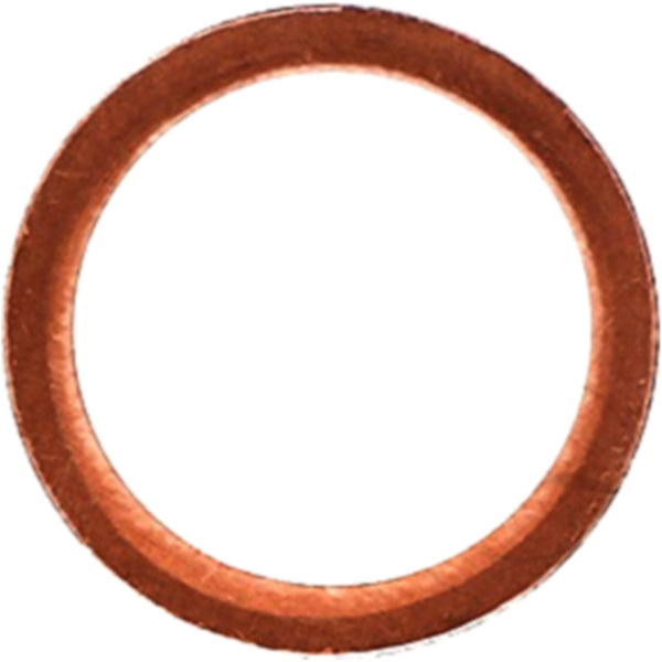 Seal ring oelablasss 110604_1
