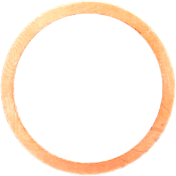 Seal ring oelablasss 128503_1