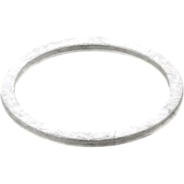 Seal ring oelablasss 250007