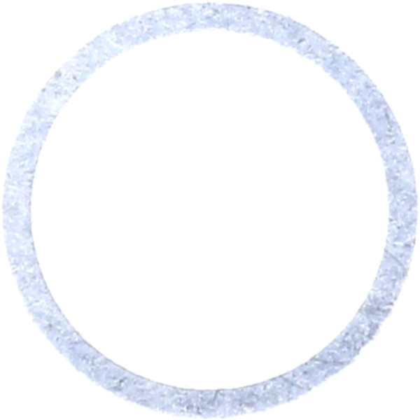 Dichtring OELABLASSS 250007_1