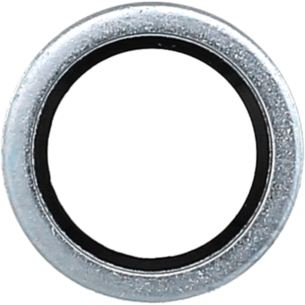 Seal ring oelablasss 834823_1