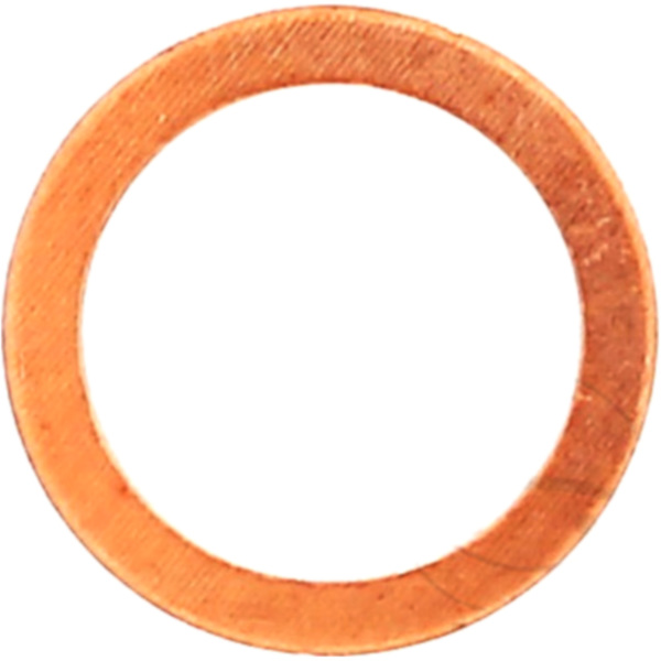 Dichtring OELABLASSS 119504_1