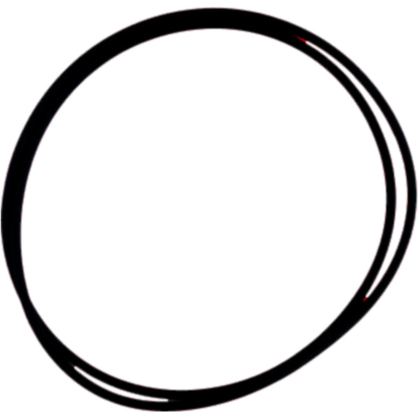 O-Ring SAHARA