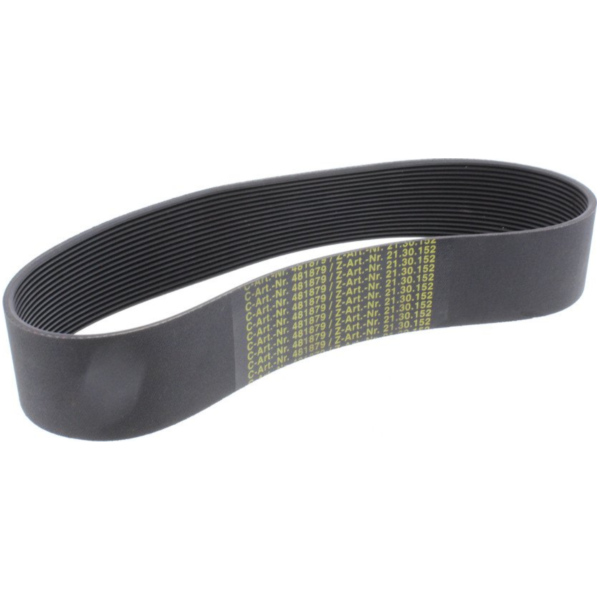Ribbed belt consul 481879