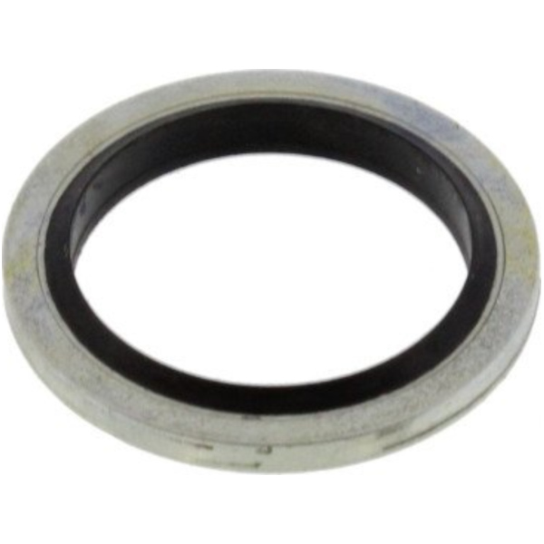 Seal ring schlauchanschl.