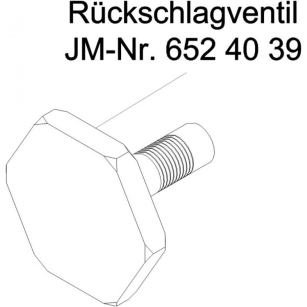 Check valve 580827_1