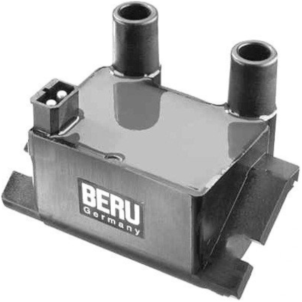 Ignition coil zs224 beru