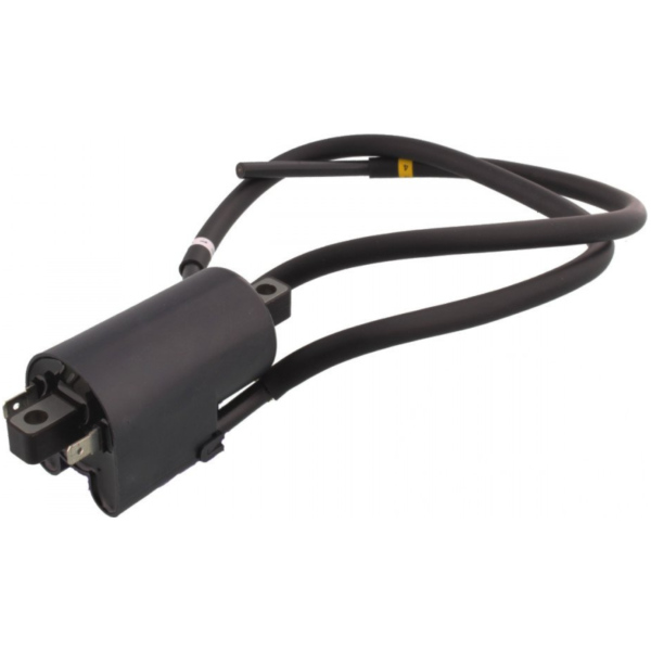 ignition coil / spark coil 3341017E00000