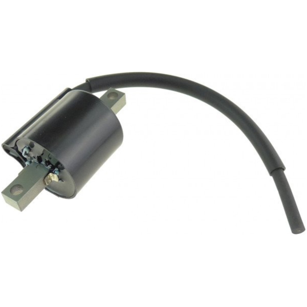 Coil 4SS8231000_1
