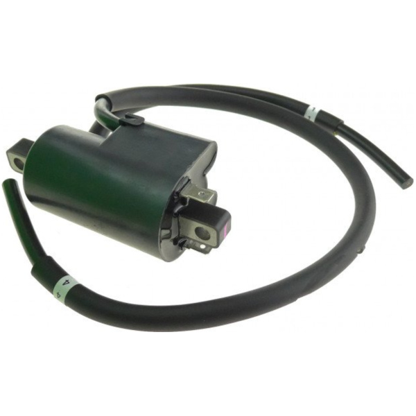 Coil 12v 5DM8231000_2