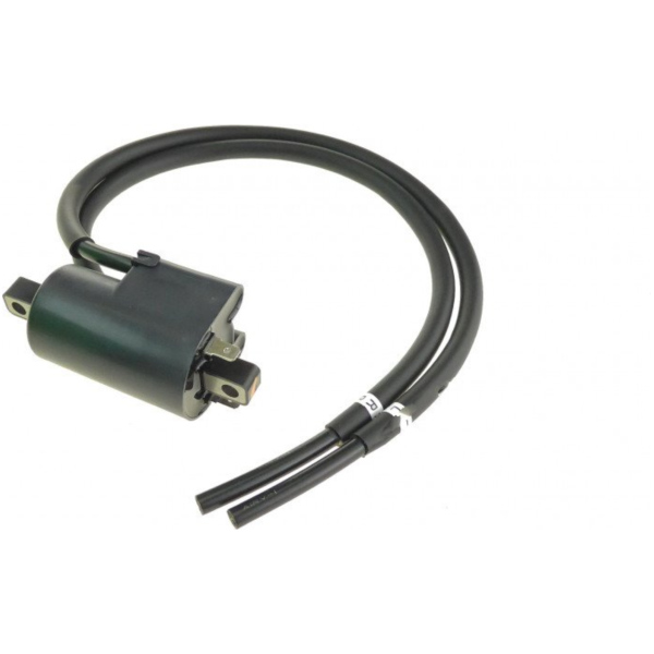 Coil 12v 3LD8231001_1