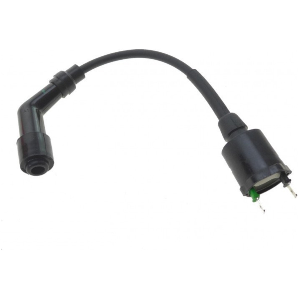 Ignition coil 979297