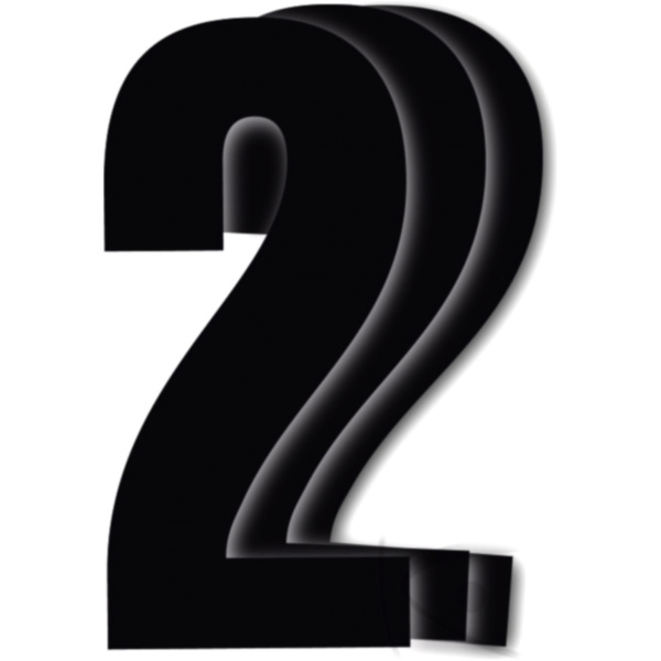 Race numbers no.2 black bird racing 1108299