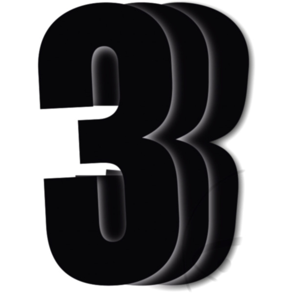 Race numbers no.3 black bird racing