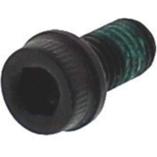 Brake disc bolt 77110211A