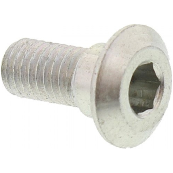Brake disc bolt 800061777