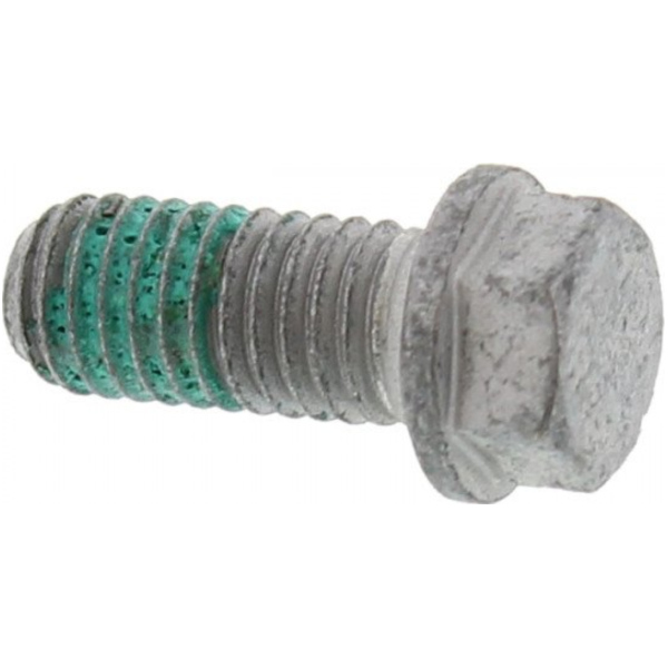 Brake disc bolt 61009062018