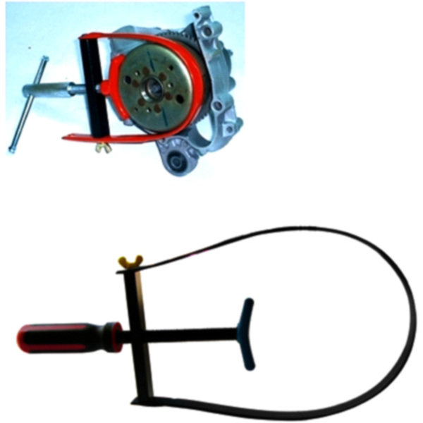 Halter Polrad JMP