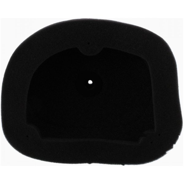Air filter  Foam Athena S410462200002
