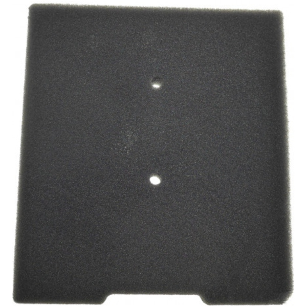 Air filter (orig spare part) 110130762