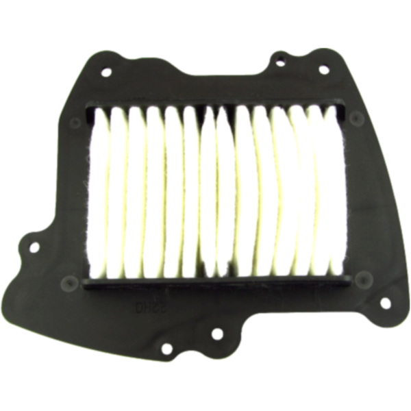 Air filter (orig spare part) 1378022H00000