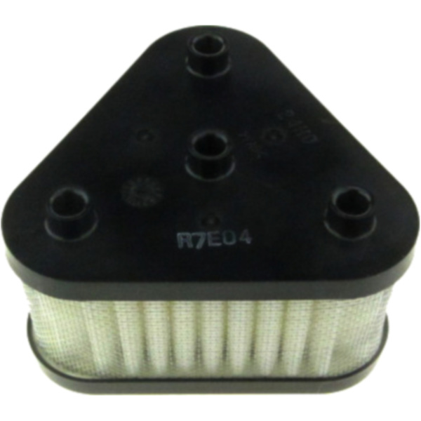 Air filter (orig spare part) 1378024H00000
