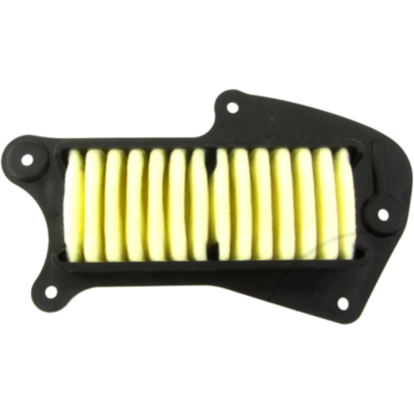 Air filter (orig spare part) 1378048G20000