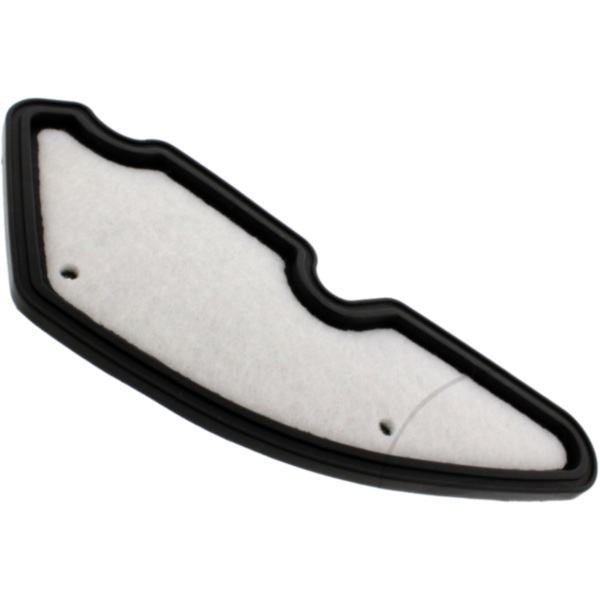 Air filter foam (orig spare part) AP8202443