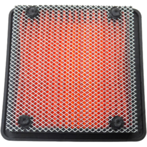 Air filter (orig spare part) 979339