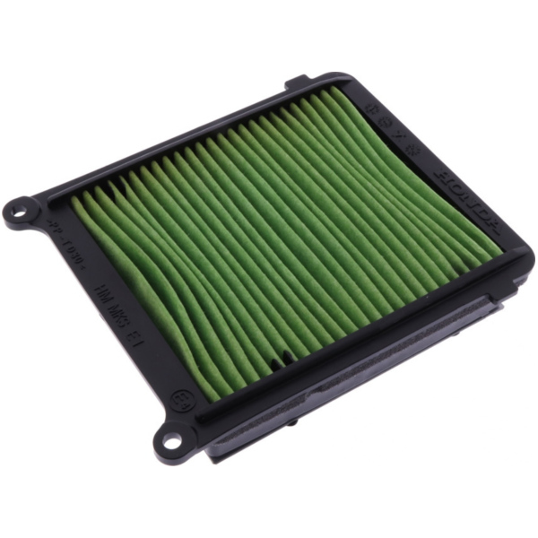 Air filter (orig spare part) 1012886
