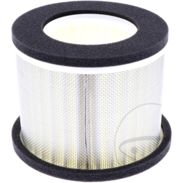 Air filter (orig spare part) 1012895