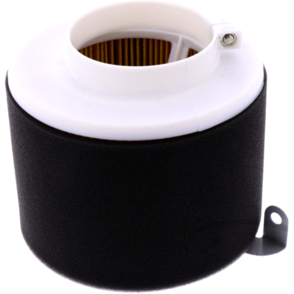 Air filter (orig spare part) 1056135