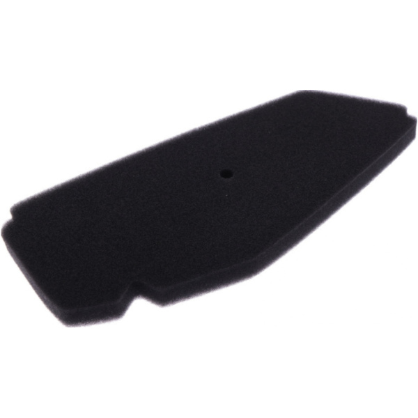 Air filter athena S410480200001