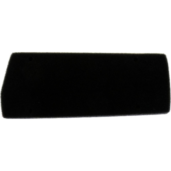 Air filter athena S410010200001