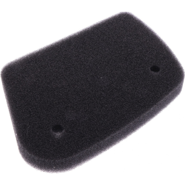 Luftfilter Foam Athena S410010200006