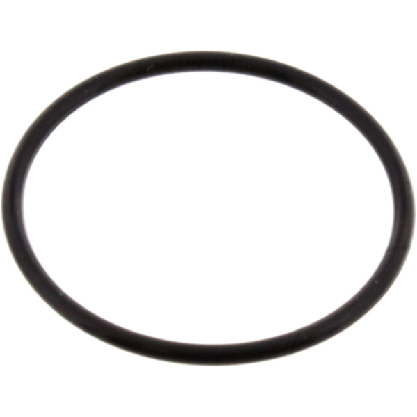 Dichtung O-Ring Athena M752003200004