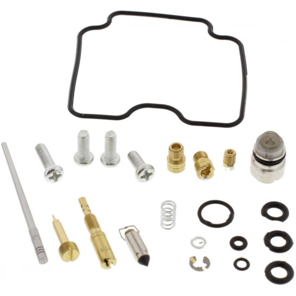 Carburetor repair kit 261263