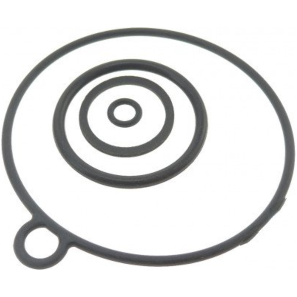 Siegel Schwimmerkammerdichtung Originalersatzteil 974861