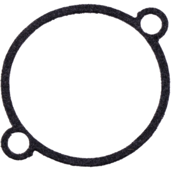 FLOAT CHAMBER SEAL (OE SPARE PART) 4255