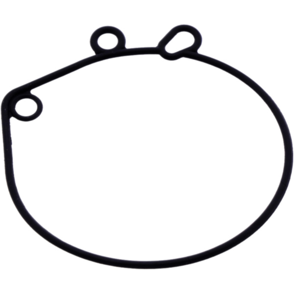 FLOAT CHAMBER SEAL (OE SPARE PART) 4260