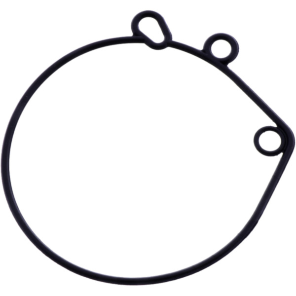 FLOAT CHAMBER SEAL (OE SPARE PART) 4263