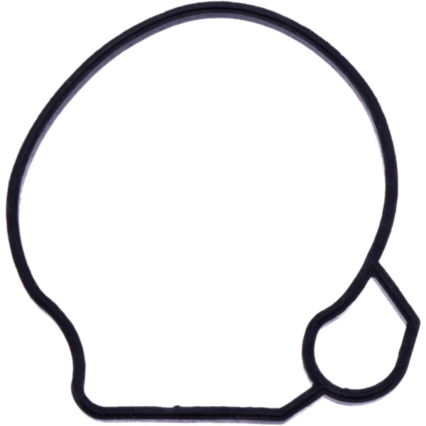 FLOAT CHAMBER SEAL 4668